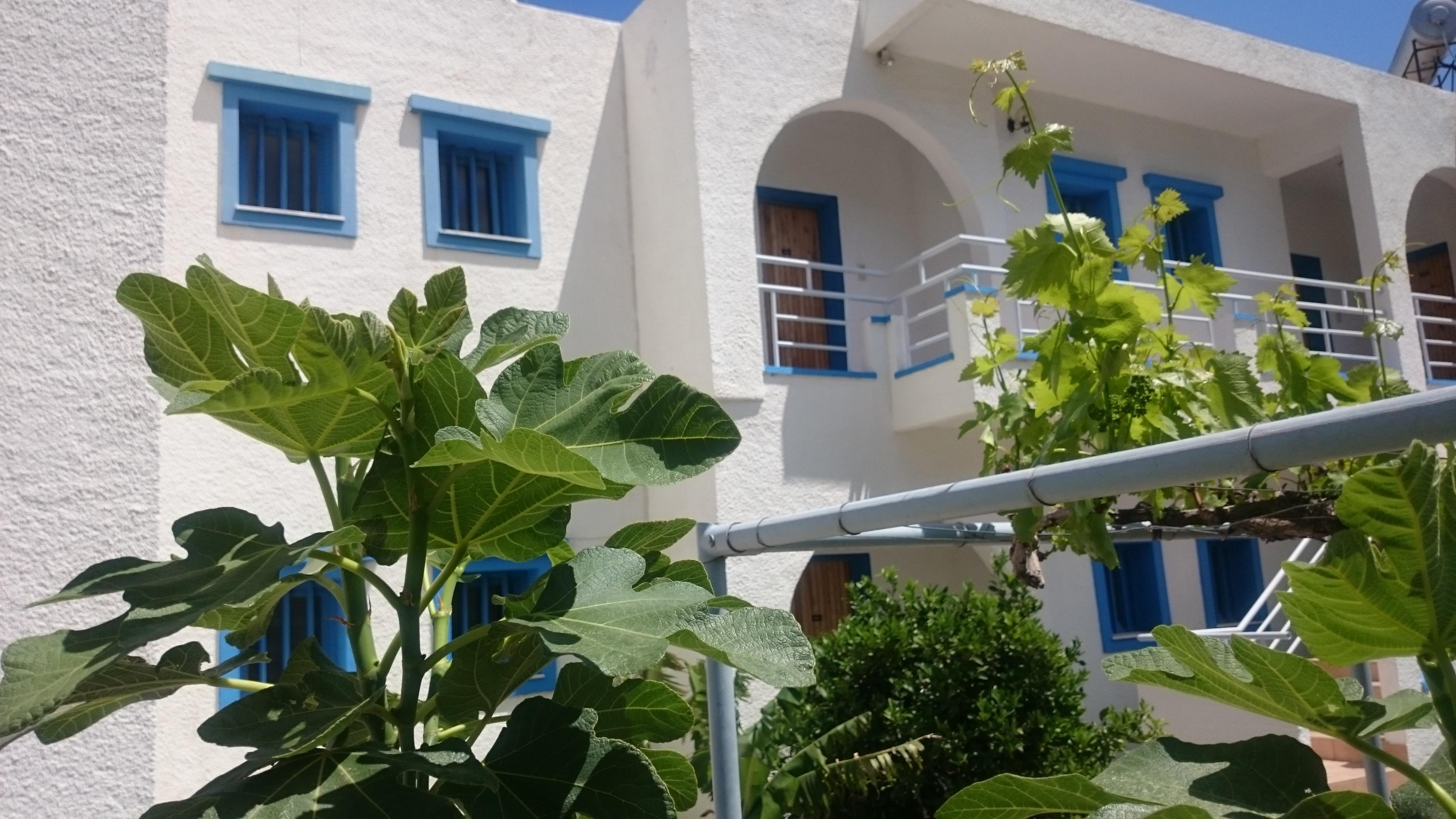Amazones Villas Apartments Hersonissos  Exterior photo