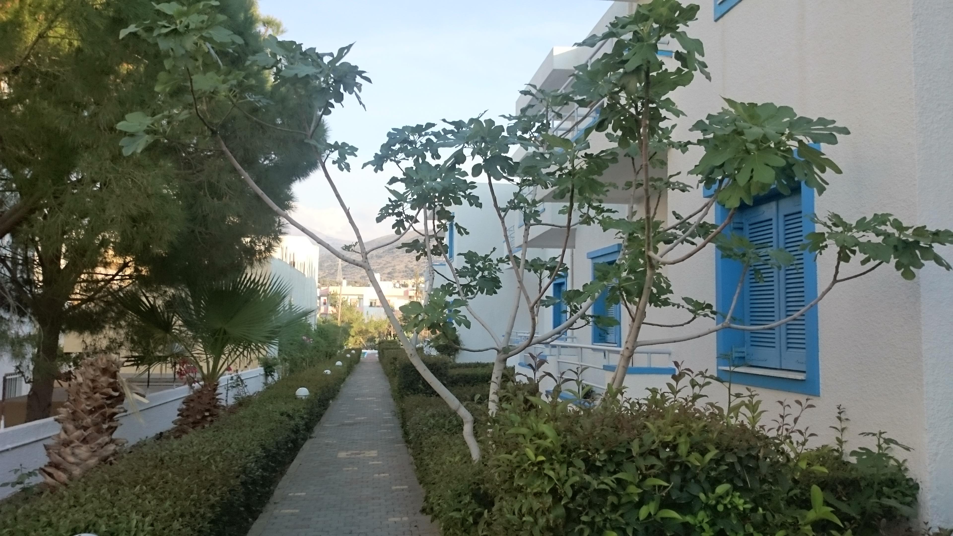 Amazones Villas Apartments Hersonissos  Exterior photo
