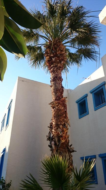 Amazones Villas Apartments Hersonissos  Exterior photo